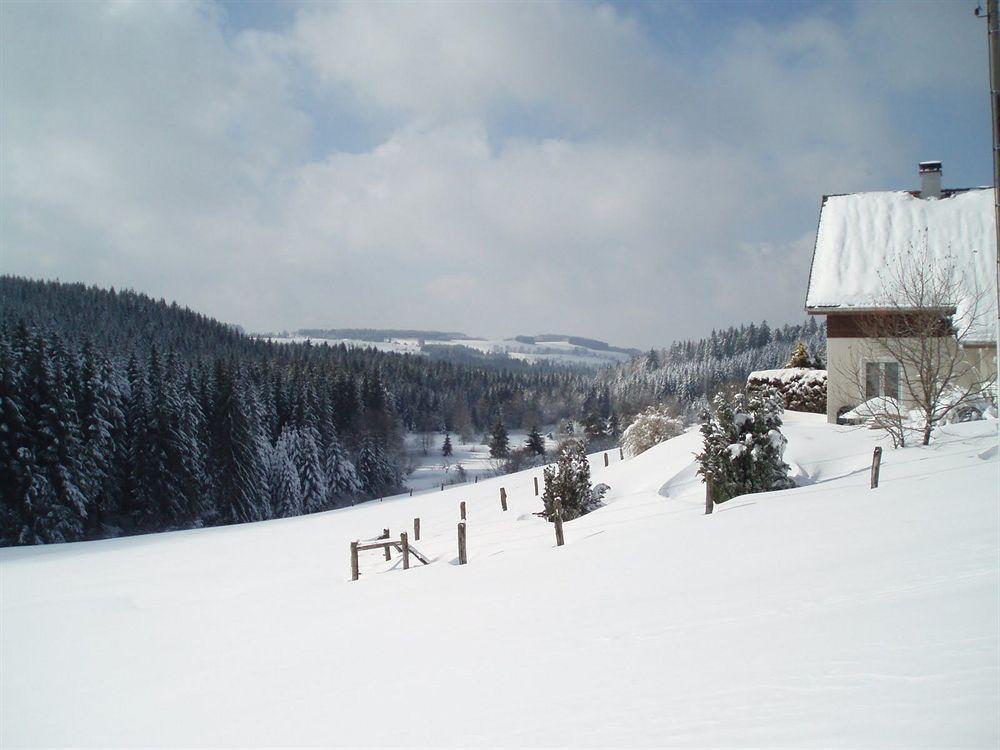 Hôtel Restaurant La Vigotte Girmont-Val-dʼAjol Esterno foto